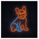 Manta SNL68MT Style Neon Lights FRENCH BULLDOG Multicolor