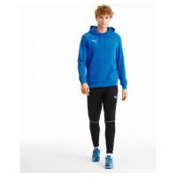 Puma TeamGoal 23 Casuals M 656580-02 sweatshirt (L)