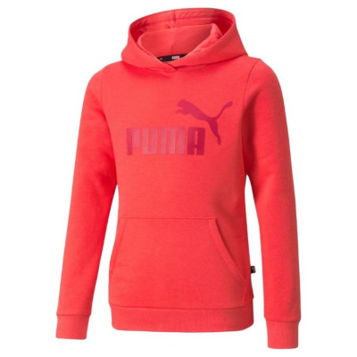 Puma ESS Logo Hoodie FL Jr 587031 35 (116 cm)