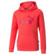 Puma ESS Logo Hoodie FL Jr 587031 35 (116 cm)