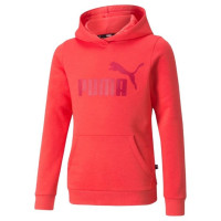 Puma ESS Logo Hoodie FL Jr 587031 35 (116 cm)