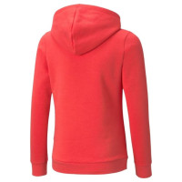 Puma ESS Logo Hoodie FL Jr 587031 35 (116 cm)