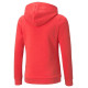 Puma ESS Logo Hoodie FL Jr 587031 35 (116 cm)