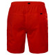 Helly Hansen Calshot Trunk M 55693-222 shorts (M)