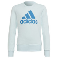 Adidas Sweatshirt adidas Big Logo Swt Jr HM8707 (152 cm)