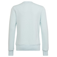Adidas Sweatshirt adidas Big Logo Swt Jr HM8707 (152 cm)