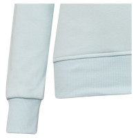 Adidas Sweatshirt adidas Big Logo Swt Jr HM8707 (152 cm)