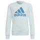 Adidas Sweatshirt adidas Big Logo Swt Jr HM8707 (152 cm)