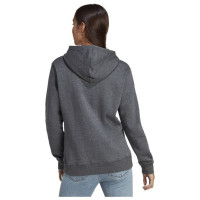 Adidas Sweatshirt adidas Big Logo FL R HD W IC9845 (S)