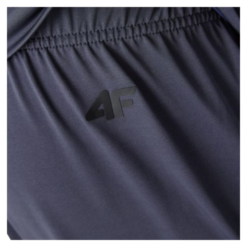 4F FNK M351 M pants 4FAW23TFTRM351 23S (L)