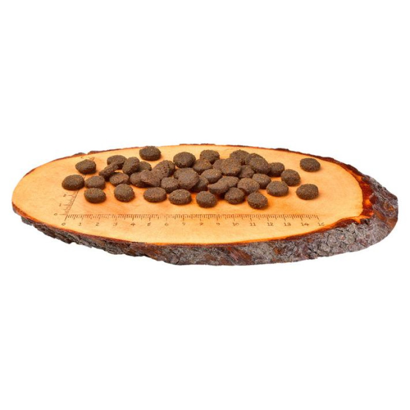 Carnilove Reindeer for Adult 1,5 kg barība suņiem