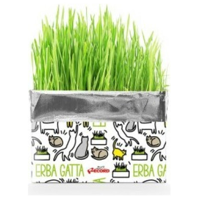 Record Kaķu zāle 120gr