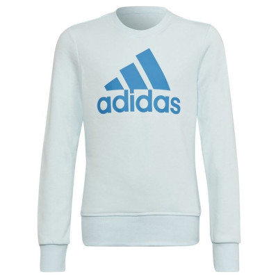 Adidas Sweatshirt adidas Big Logo Swt Jr HM8707 (170 cm)
