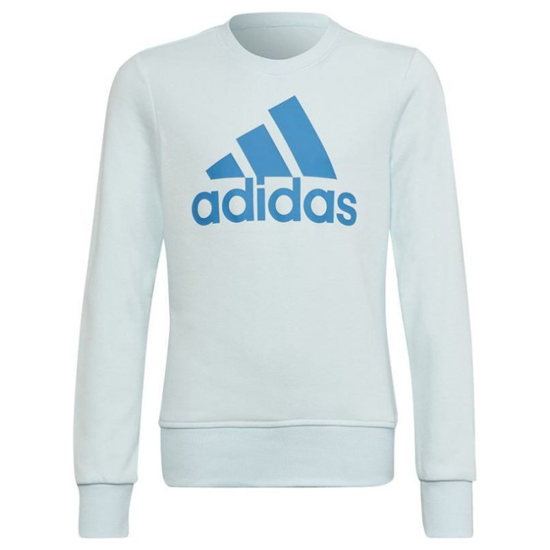 Adidas Sweatshirt adidas Big Logo Swt Jr HM8707 (170 cm)