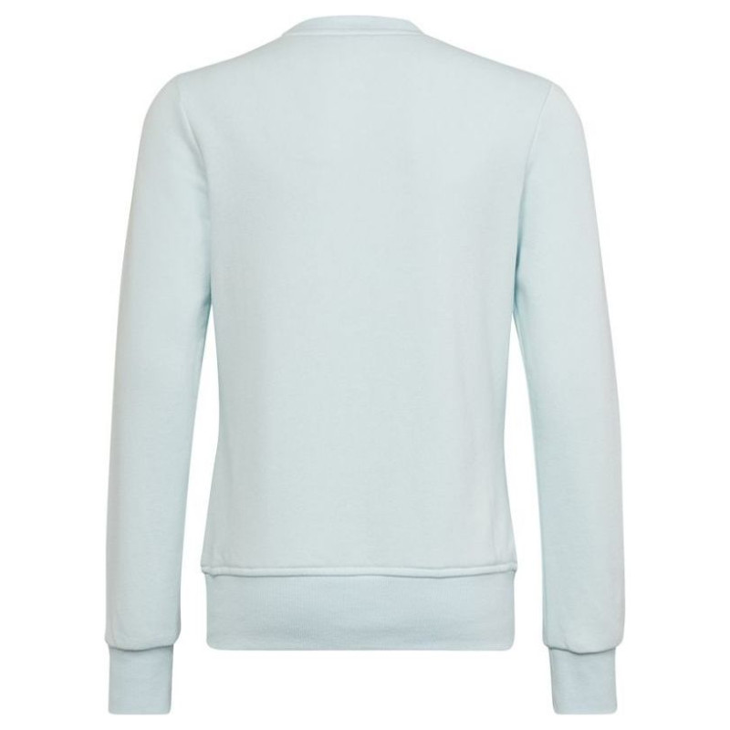 Adidas Sweatshirt adidas Big Logo Swt Jr HM8707 (170 cm)