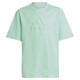 Adidas T-shirt adidas FI Logo Tee Jr IC9532 (140 cm)