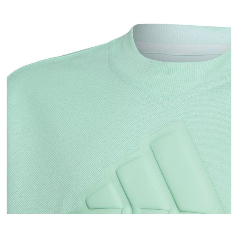 Adidas T-shirt adidas FI Logo Tee Jr IC9532 (140 cm)