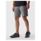 4F M shorts 4FAW23TFSHM299-27M (M)