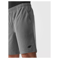 4F M shorts 4FAW23TFSHM299-27M (M)