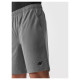 4F M shorts 4FAW23TFSHM299-27M (M)