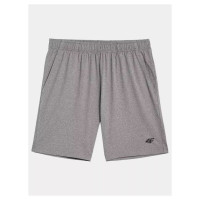 4F M shorts 4FAW23TFSHM299-27M (M)