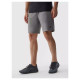 4F M shorts 4FAW23TFSHM299-27M (M)