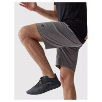 4F M shorts 4FAW23TFSHM299-27M (M)