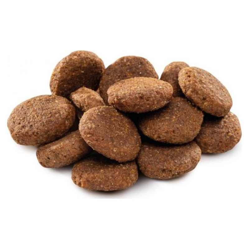 Brit PREMIUM By Nature Senior L/XL 15 kg barība suņiem