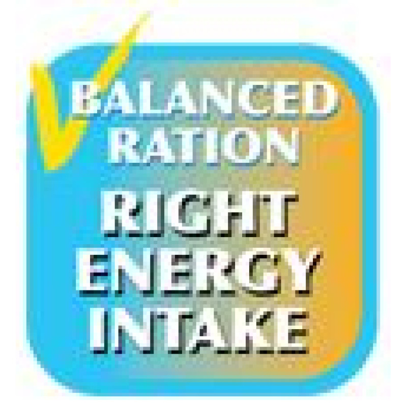 Special Dog Premium Classic 5 kg - barība suņiem