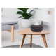 Tellur WiFi Smart Aroma Diffuser 300ml LED Dark Brown