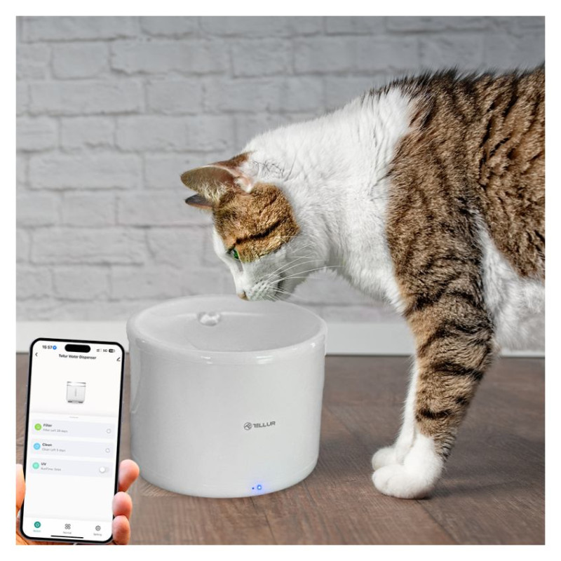 Tellur Smart WiFi Pet Water Dispenser, 2L white