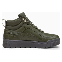 Puma Tarrenz SB III Puretex M 393930-03 shoes (42)