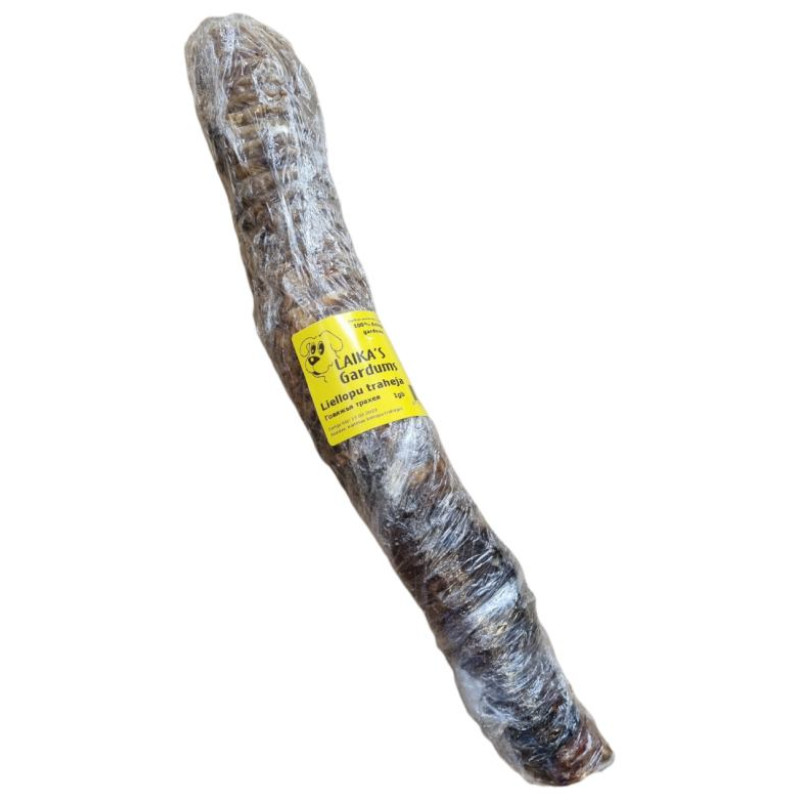 Laikas Gardums Liellopu trahejas (garas), gab.