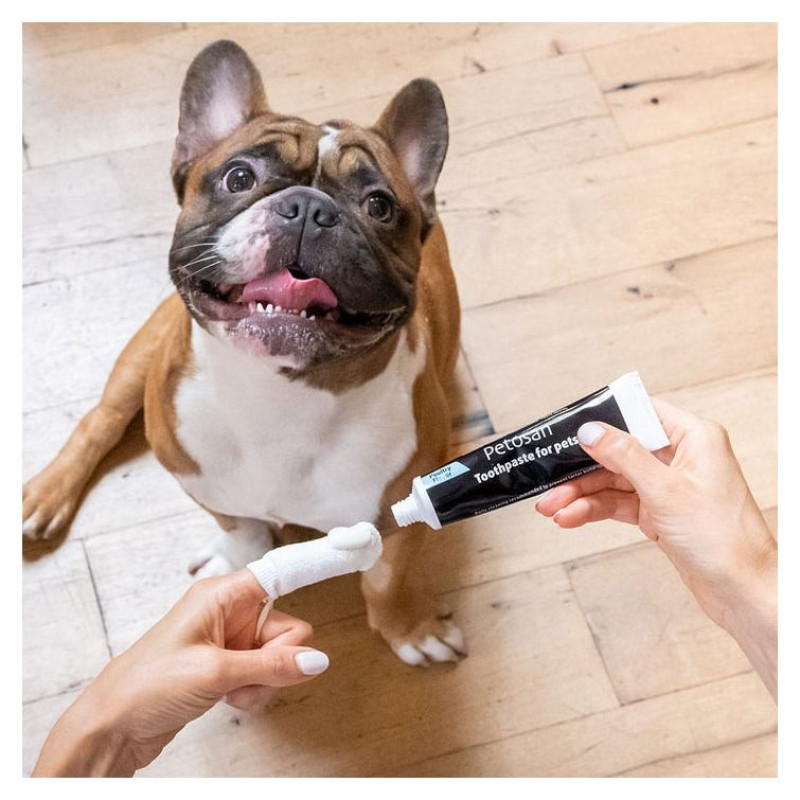 Petosan TOOTHPASTE 70 g - ikdienas zobu pasta suņiem un kaķiem