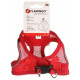 Flamingo krušu siksna suņiem BENTO RED XS 30-32CM