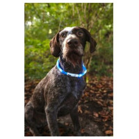 Flamingo LED kakla siksna VISIO BLUE 70 cm