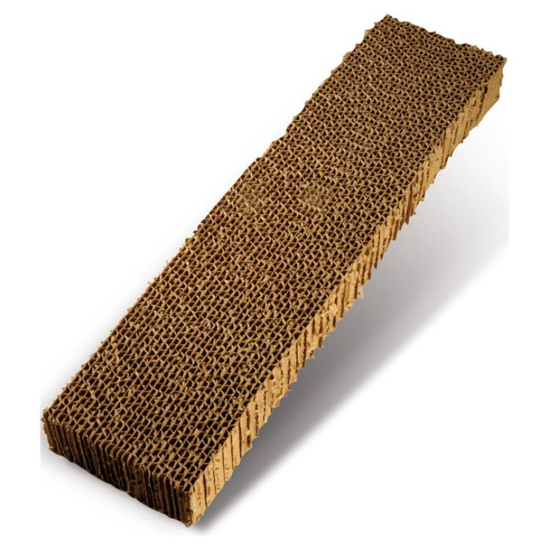 Record Nagu asināmais CAT&RINA 50x5x13cm