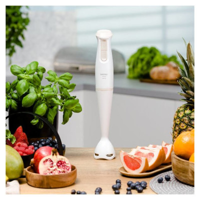 Zelmer ZHB4560I Pulsar