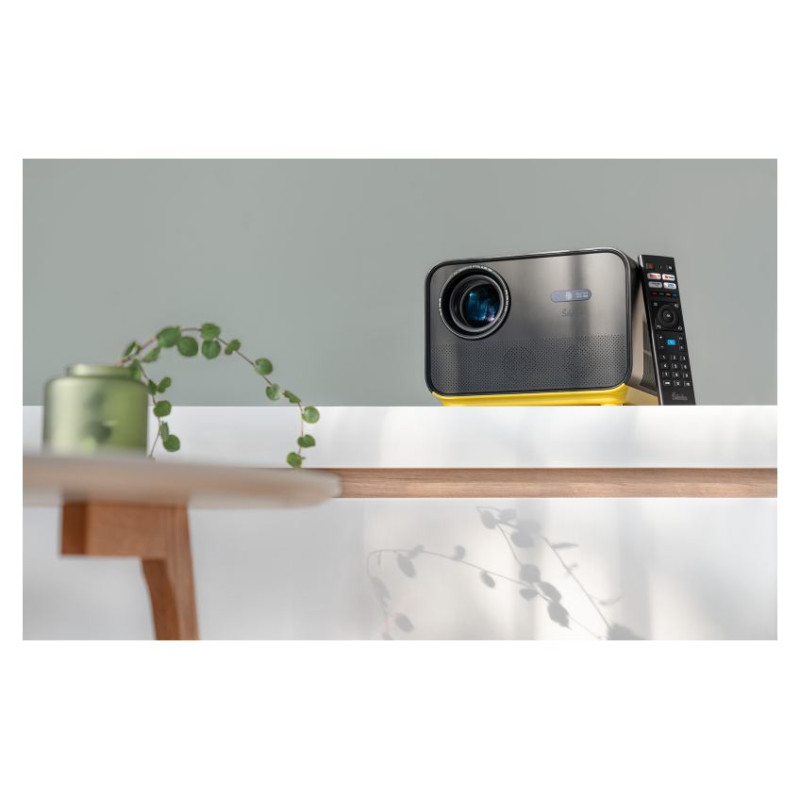 &Scaron;ilelis Silelis P-6