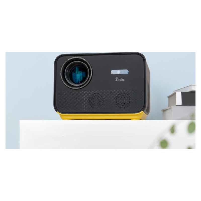 &Scaron;ilelis Silelis P-6