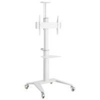 Gembird Monitora stiprinājums Gembird Aluminum TV Floor Stand  with Caster Wheels White