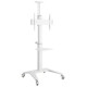 Gembird Monitora stiprinājums Gembird Aluminum TV Floor Stand  with Caster Wheels White