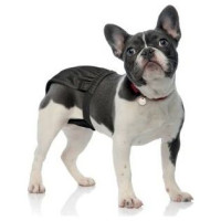 Record Higiēnas biksītes suņiem SLIP DOG 50-59cm