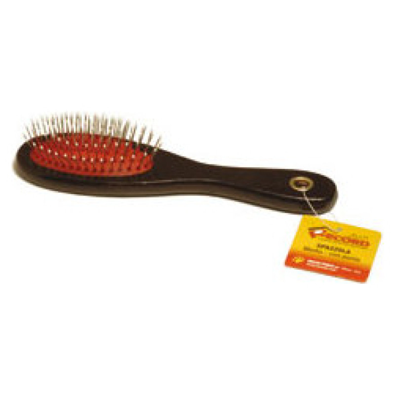 Record Birste koka ar asiem zobiem 21x6cm