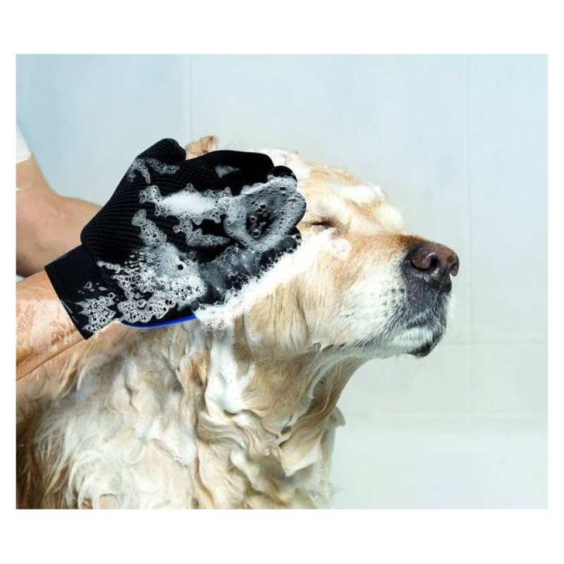 Record Ķemme-cimdiņ&scaron; GROOMING GLOVE 24&times;15.5 cm