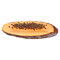 Carnilove Salmon & Turkey for Kittens 6 kg barība kaķiem