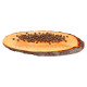 Carnilove Salmon & Turkey for Kittens 6 kg barība kaķiem