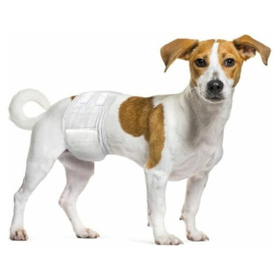 Flamingo autiņbiksītes suņiem For Male S 30-46cm 12gb.