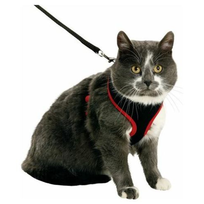 Flamingo kru&scaron;u siksna ar pavadu kaķiem Black&Red 110x10cm