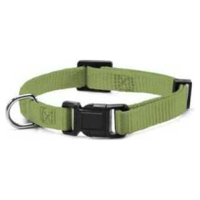 Record Kakla siksna regulējama 2 x40-53 cm zaļa